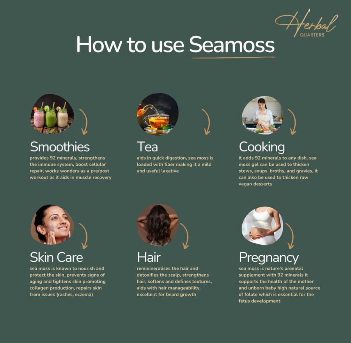 Ginger & Turmeric Infused Sea Moss Gel - Internal Detox - Herbal Quarters