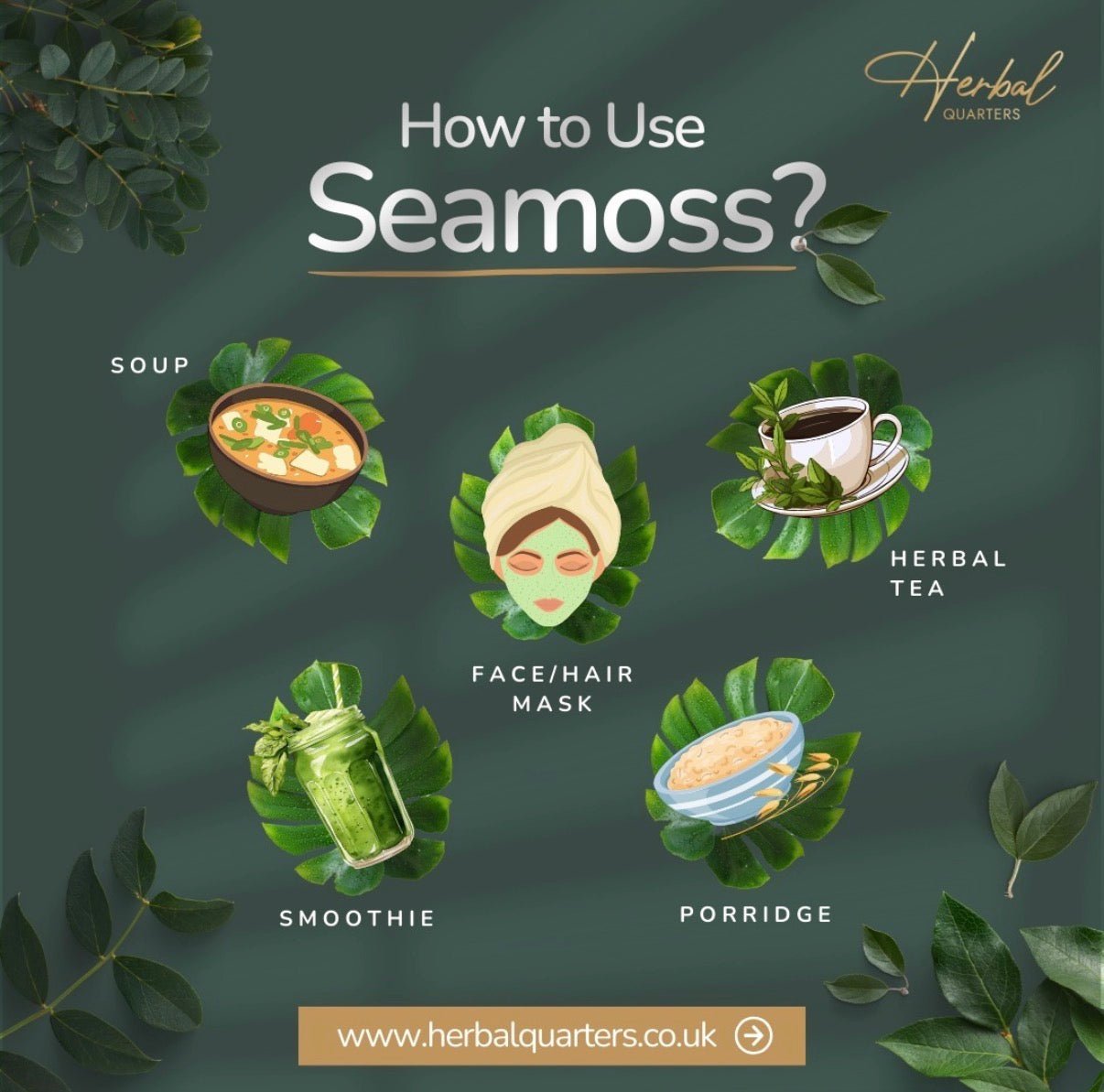 Hibiscus Infused Seamoss Gel - Hormone Balance - Herbal Quarters