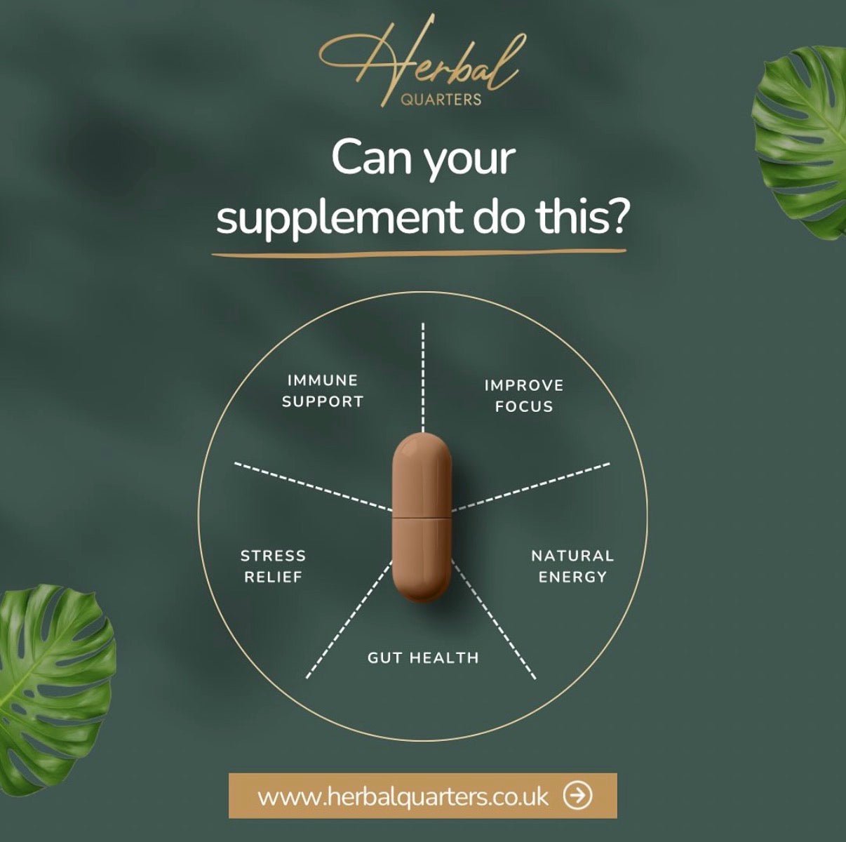 Lions Mane: Blend Of 7 Adaptogenic Mushrooms (60 Capsules) - Herbal Quarters