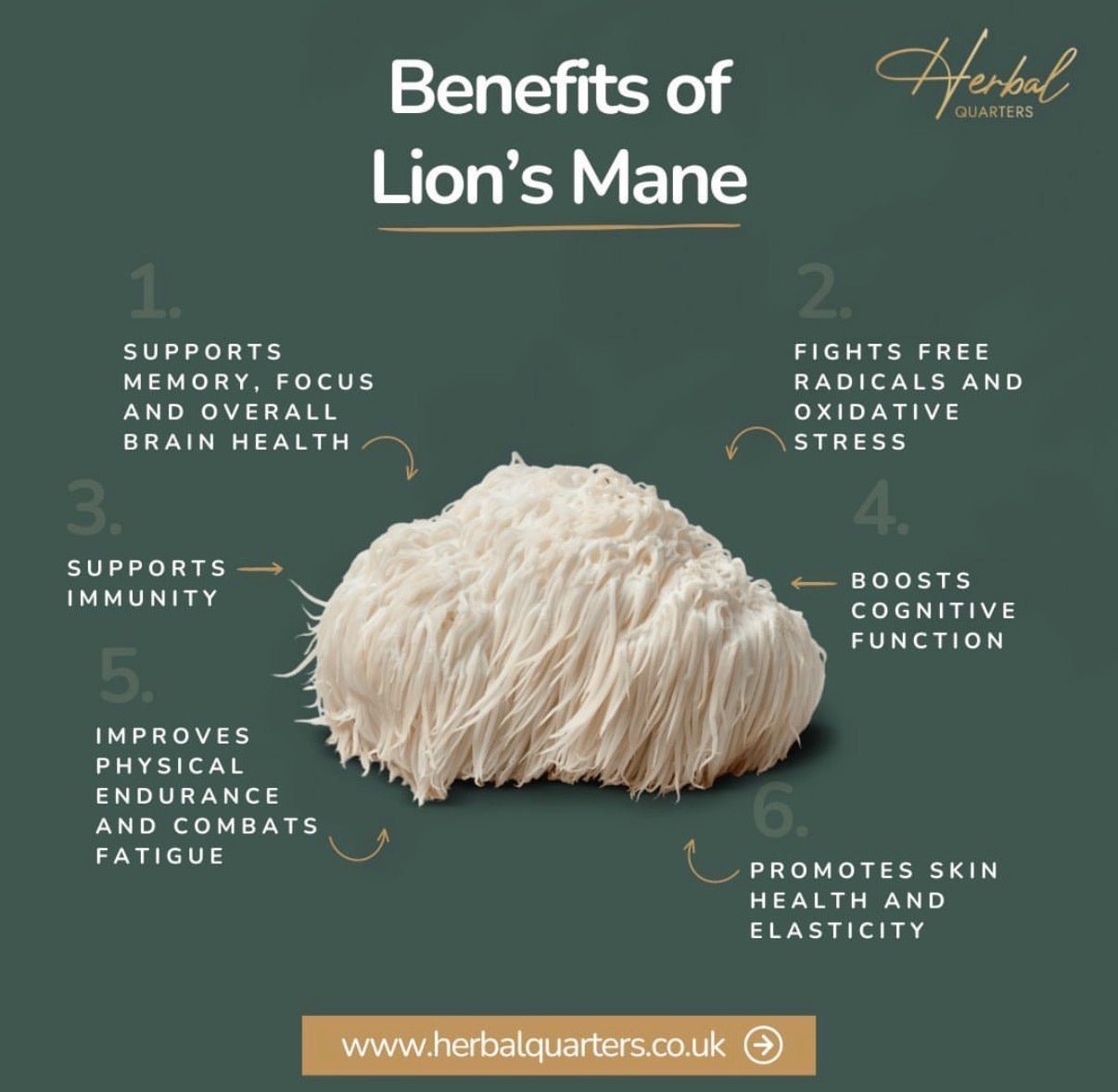 Lions Mane: Blend Of 7 Adaptogenic Mushrooms (60 Capsules) - Herbal Quarters