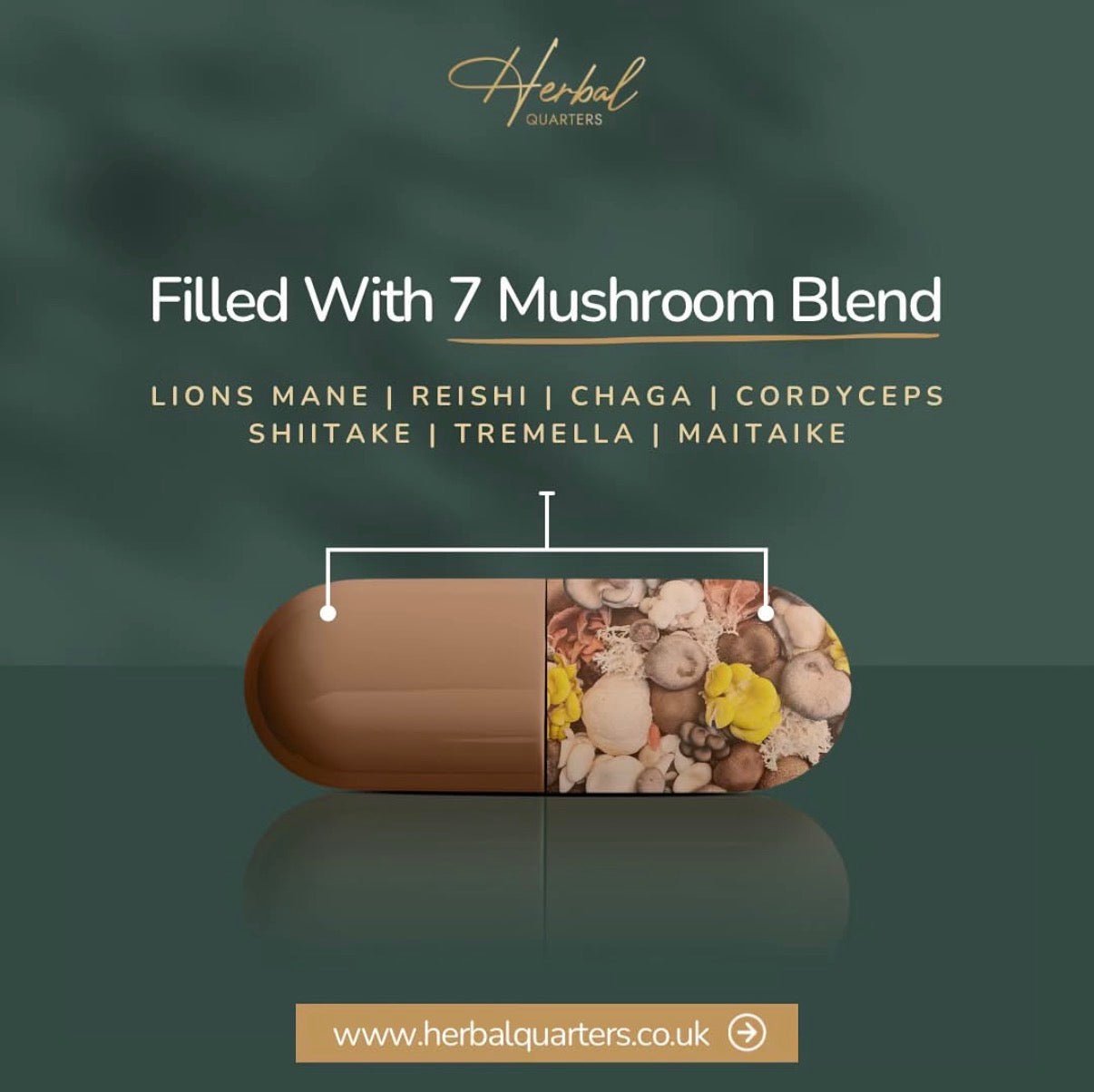 Lions Mane: Blend Of 7 Adaptogenic Mushrooms (60 Capsules) - Herbal Quarters