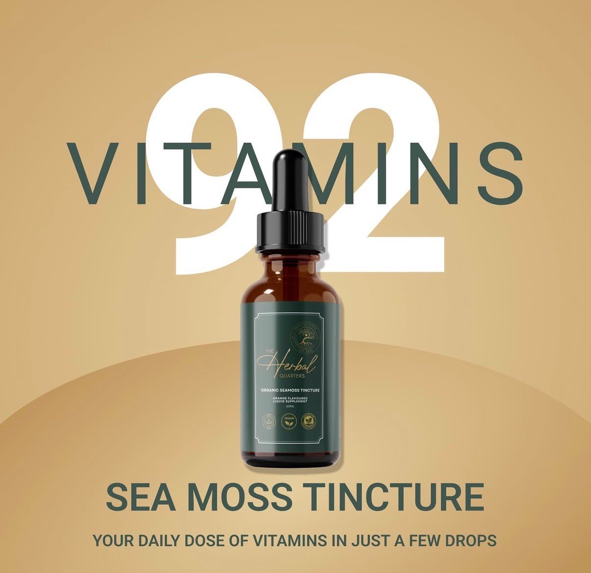 Seamoss Tincture - Spearmint - Herbal Quarters