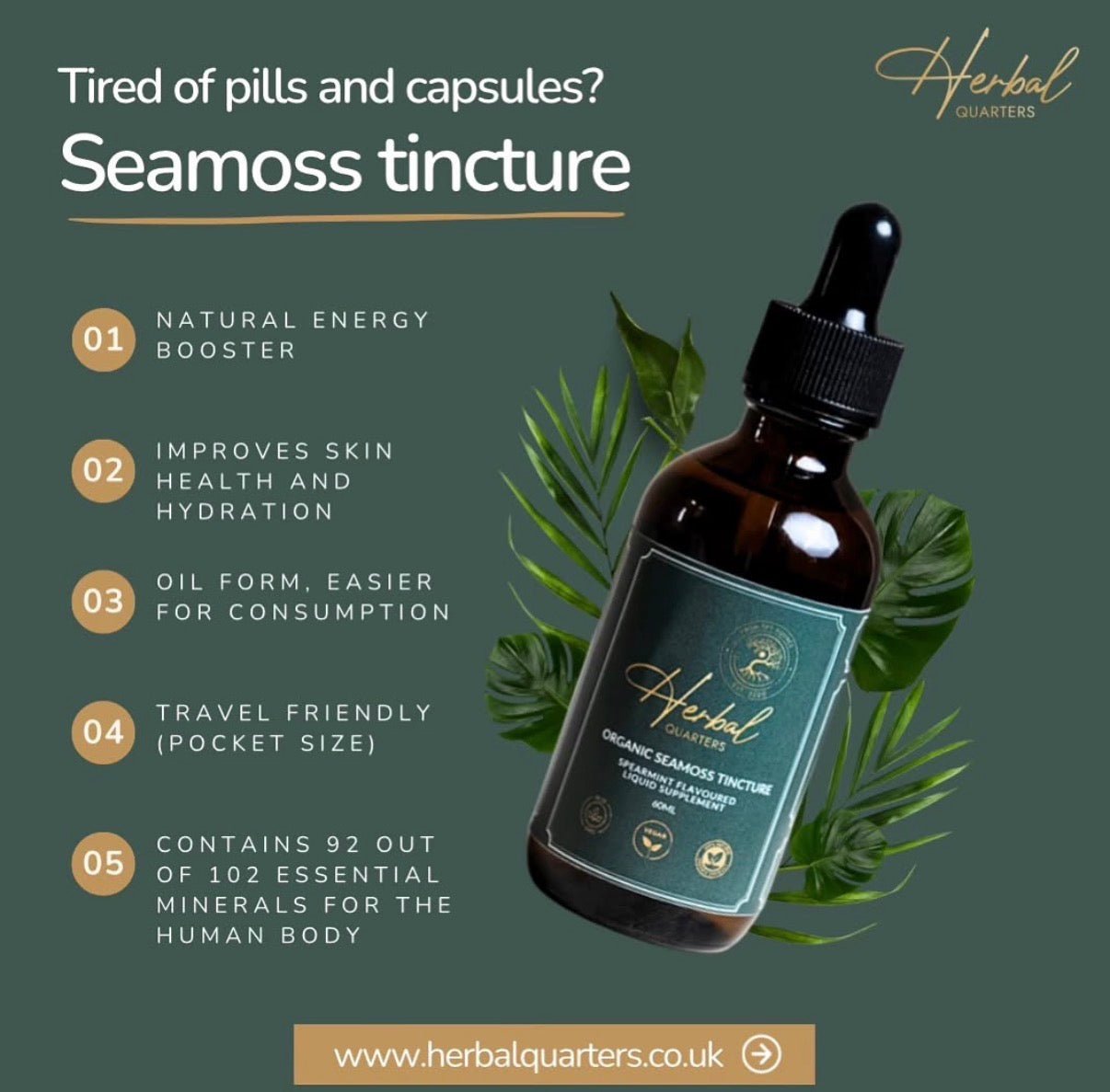 Seamoss Tincture - Spearmint - Herbal Quarters