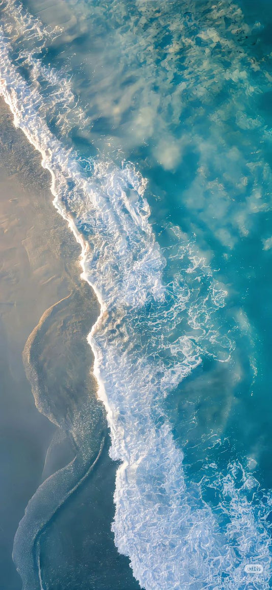 Dive into Wellness: Seamoss Gel and Its Incredible Nutritional Properties - Herbal Quarters