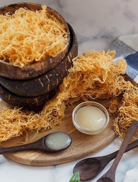 Uncovering the Truth - Can Seamoss Really Help You Lose Weight? - Herbal Quarters