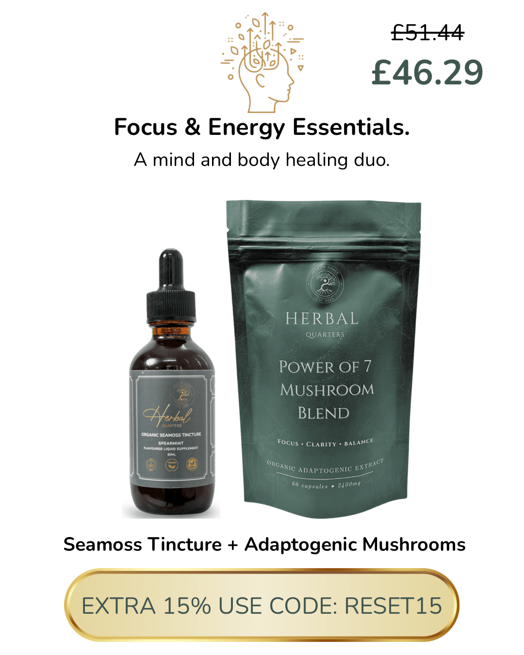 Focus and Energy - Herbal Quarters